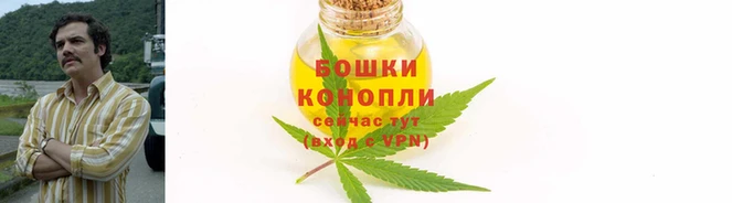 прущие крисы Краснотурьинск