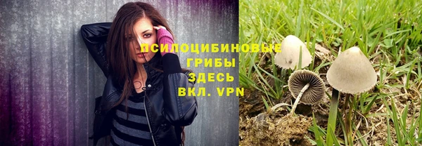 сатива Красноперекопск