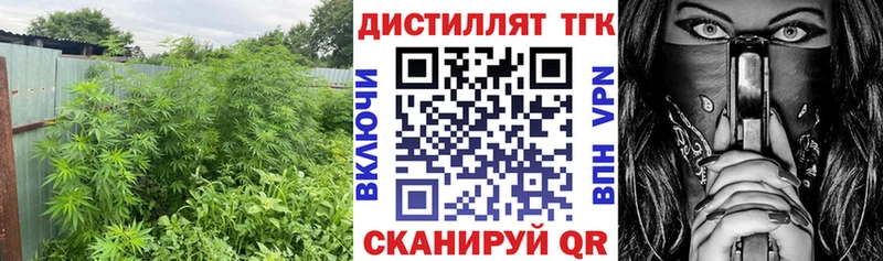 ТГК вейп с тгк  даркнет сайт  Торжок 