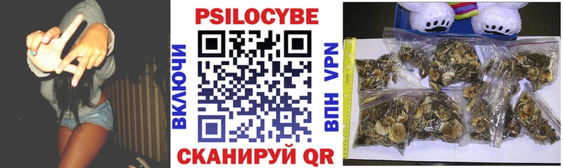 Галлюциногенные грибы Psilocybe  дарнет шоп  Торжок 