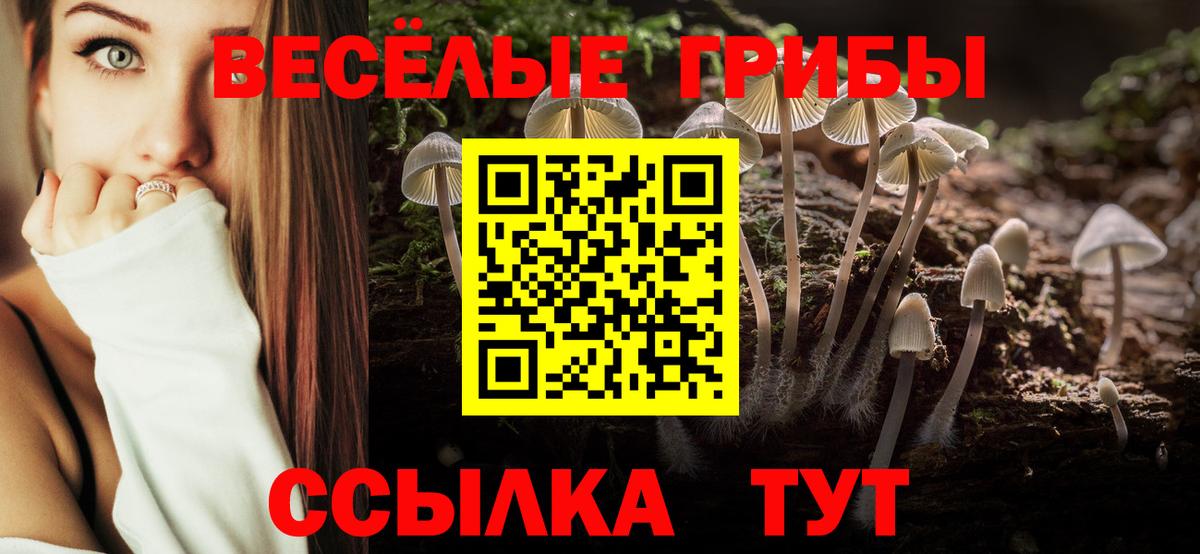 Галлюциногенные грибы мухоморы Торжок